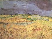 The Fields (nn04) Vincent Van Gogh